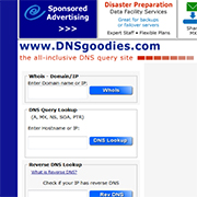 DNSgoodies Screenshot